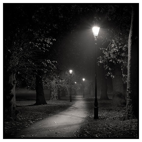 autumn night