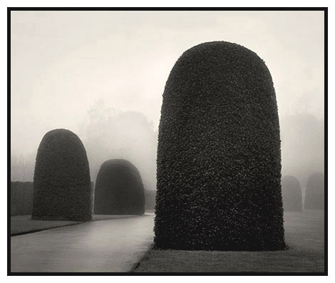 topiary