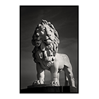 south bank lion