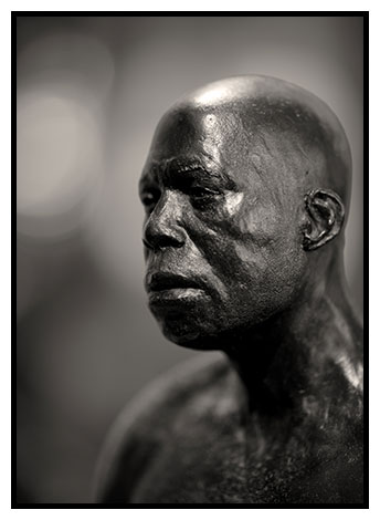 tasman road figure 2