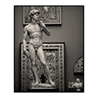david michelangelo 2