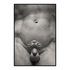 david michelangelo 3