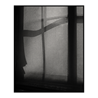 shadows on netting