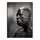 tasman road figure 2