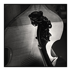 violin neck